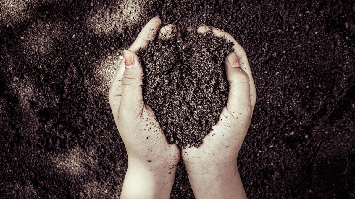 Hand holding a damp clump of heavy clay soil during a squeeze test