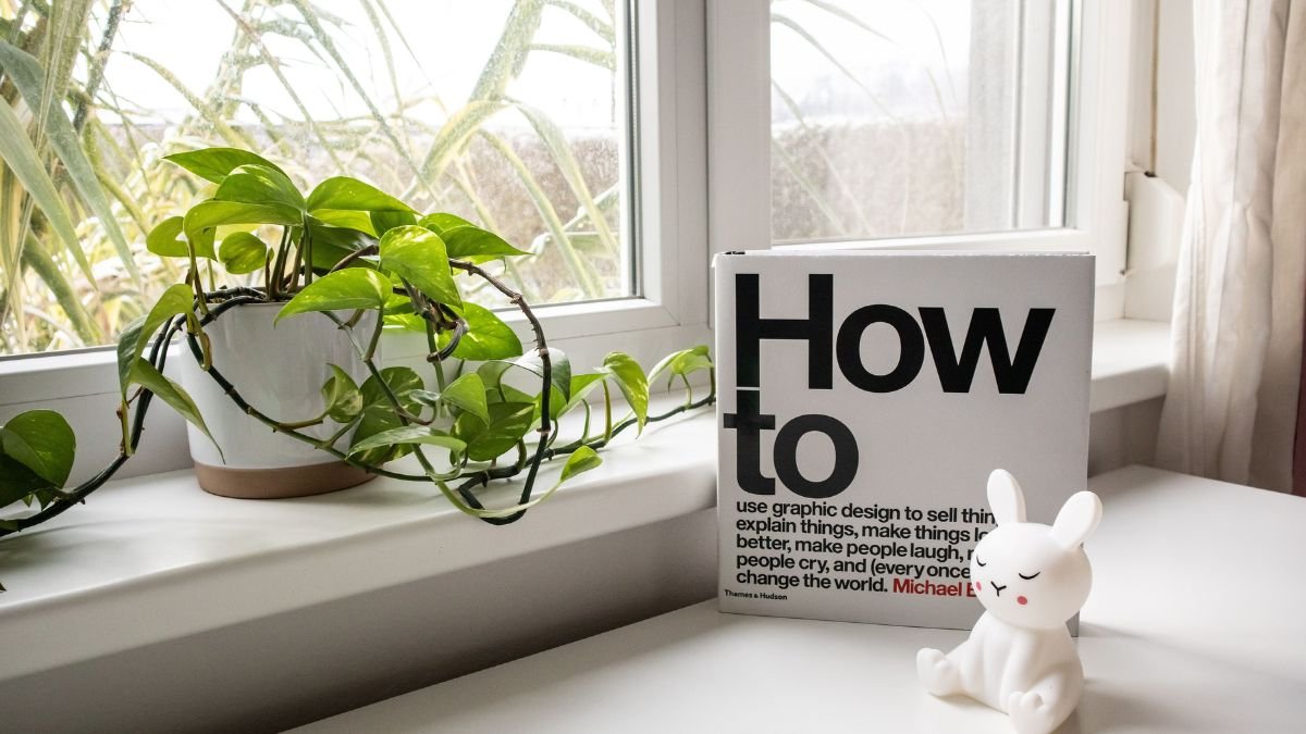 Pothos plant in a pot near a bright window