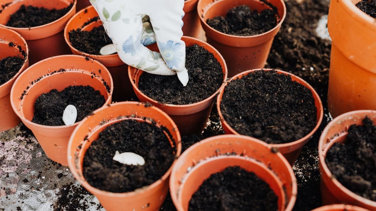 Seed starting supplies including a seed tray, small pots and plant labels on a table