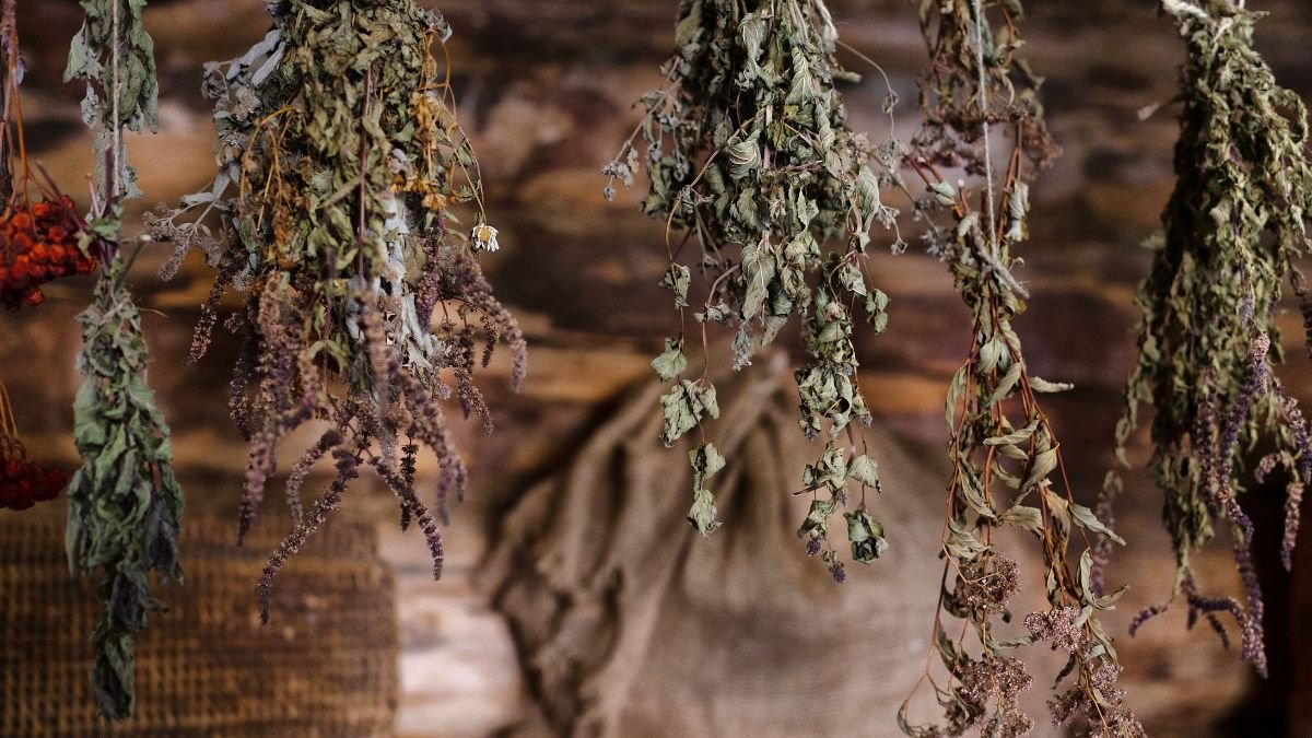 Small bundles of herbs hanging upside down to air dry