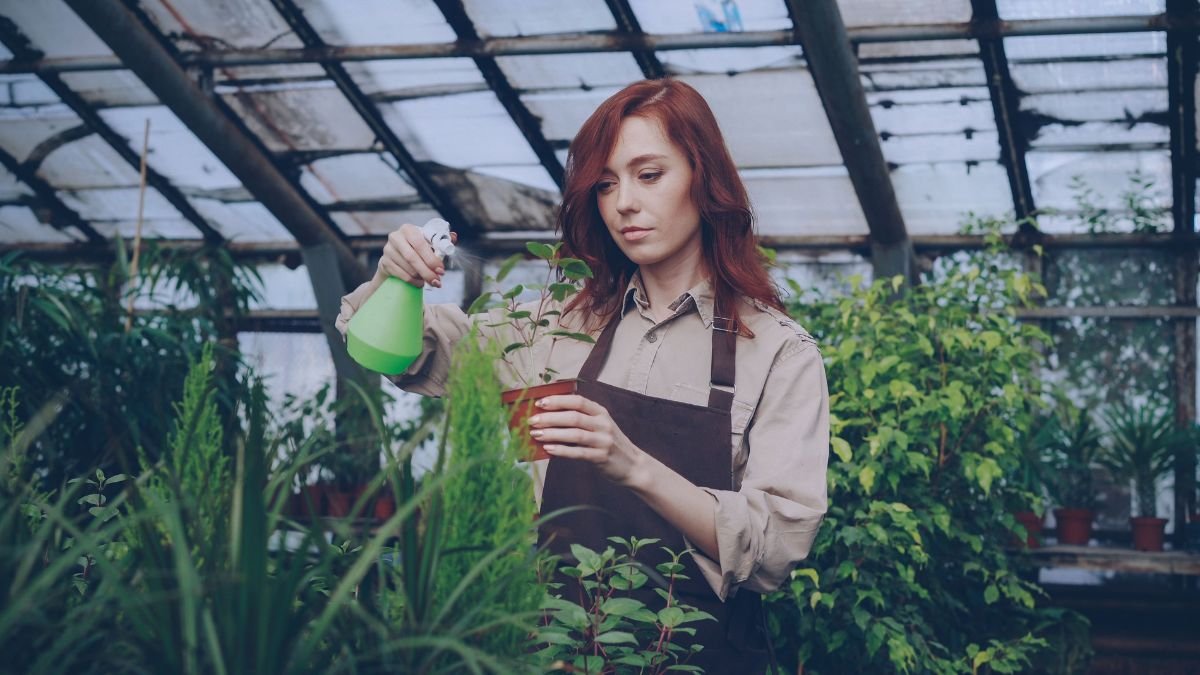 Mixing a homemade neem oil spray in a spray bottle