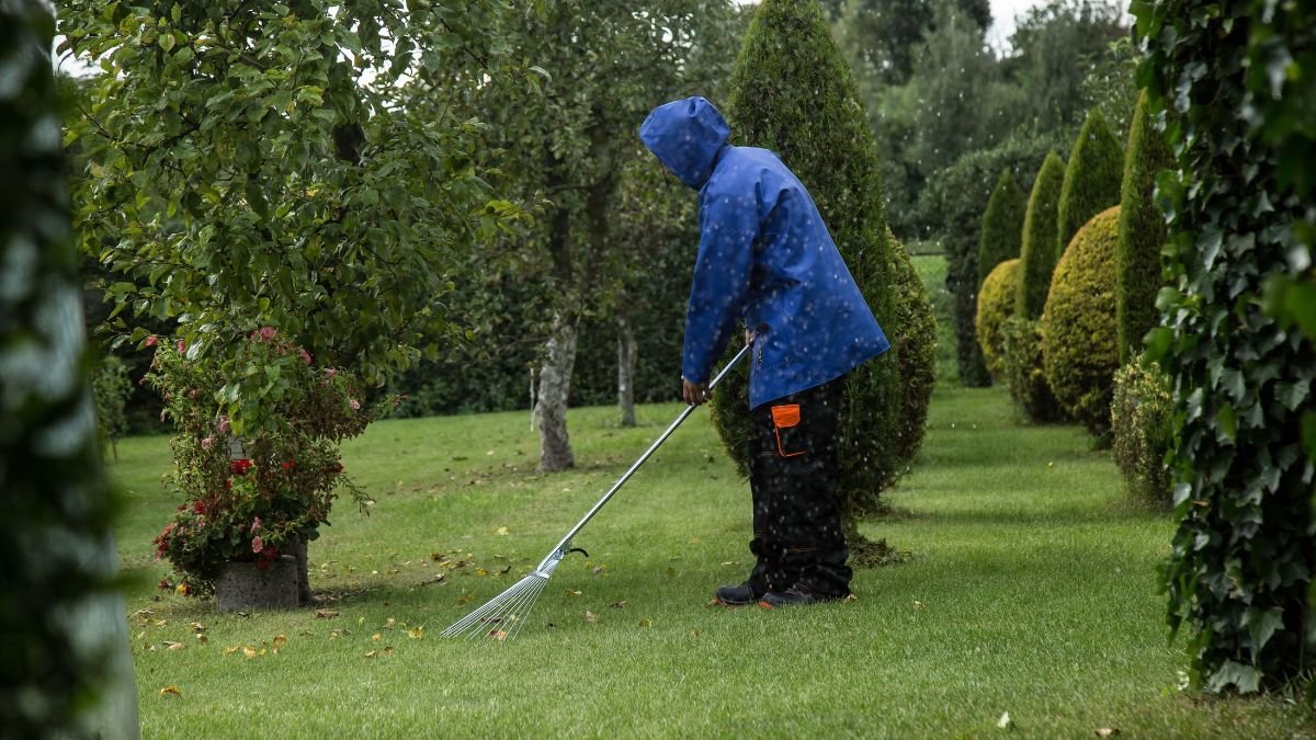 How to winterize garden beds: raking fallen leaves and clearing dead plants