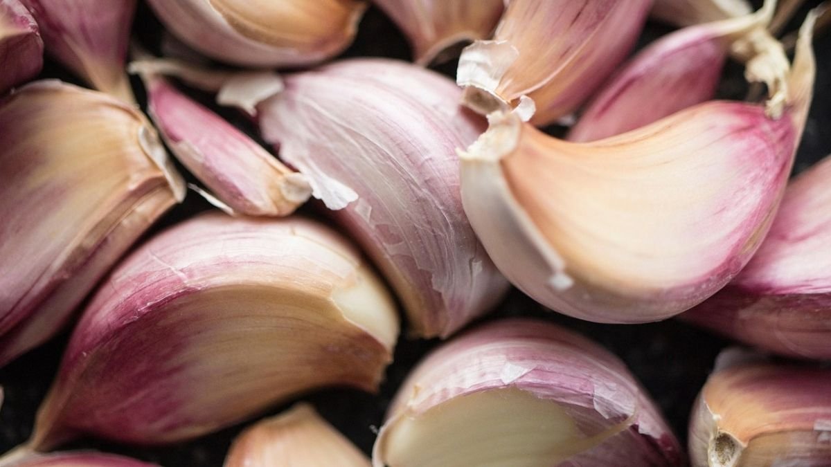Garlic cloves separated from the bulb for planting