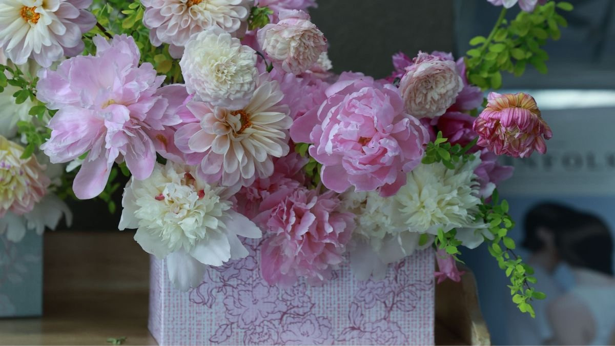 Dahlia tubers arranged in a box with protective packing material
