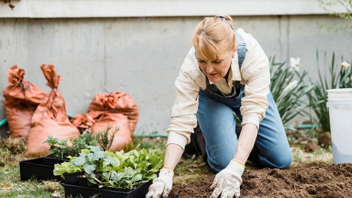 Spreading compost over a garden bed in fall