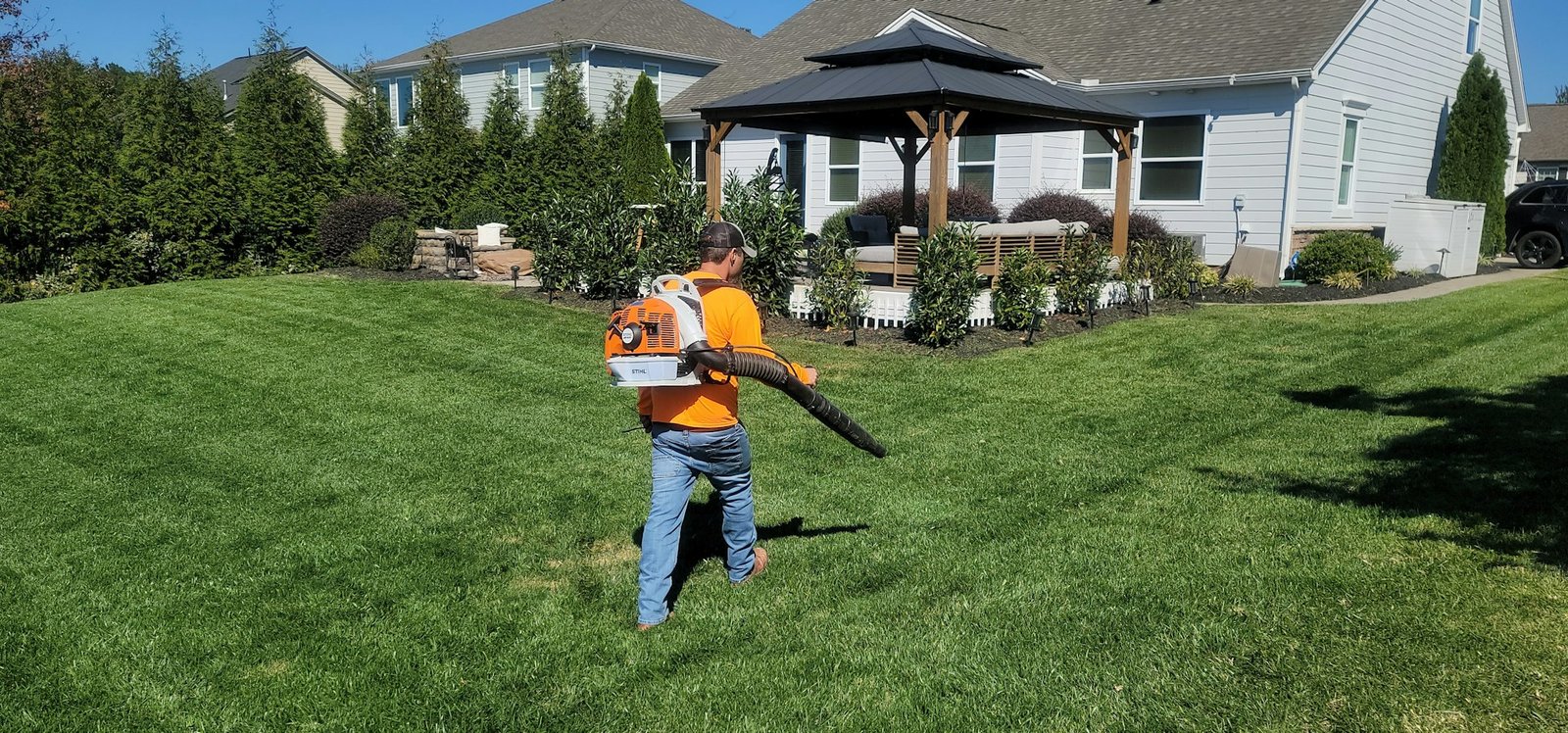 Spreader applying grass seed evenly across a lawn
