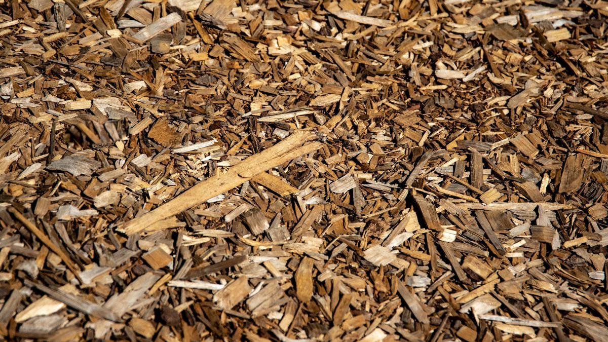 Straw mulch covering a garden bed for winter protection