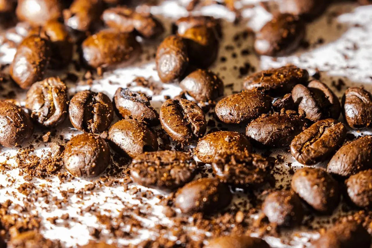 Used coffee grounds for composting