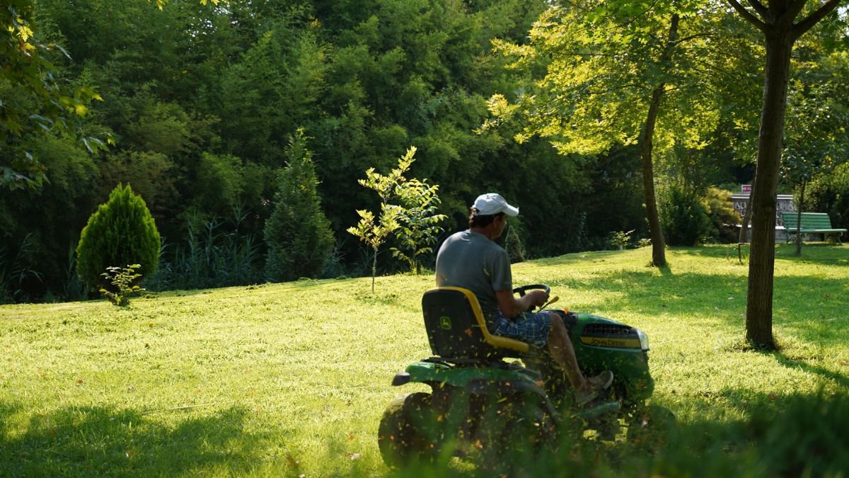 Mowing a thick green lawn