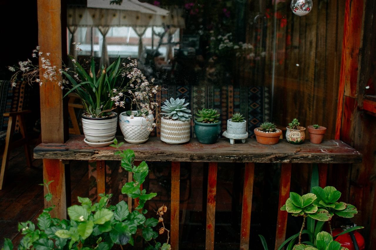Potted plants grouped on a porch in autumn