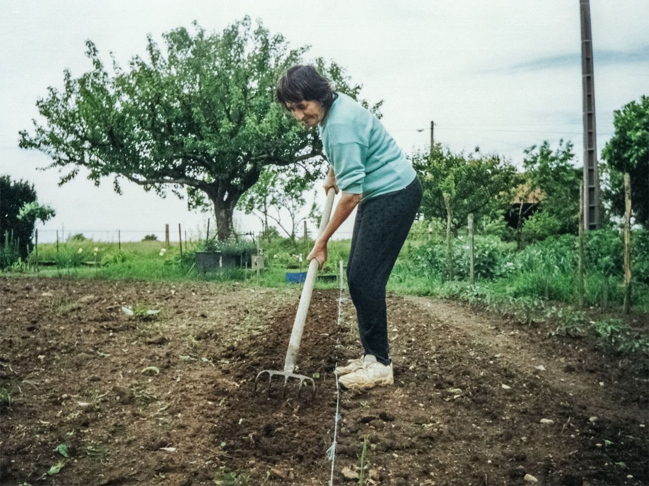 Raking soil and seed to fix bare spots in a lawn