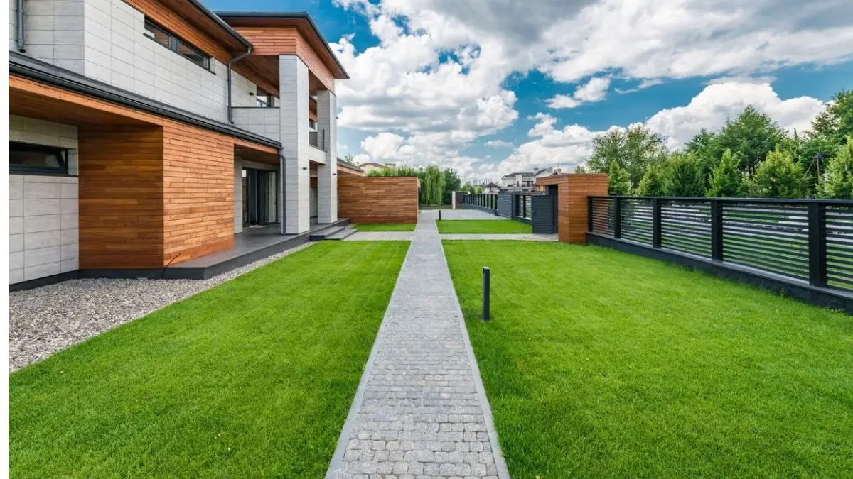 How to Overseed a Lawn: Best Time, Step by Step Guide + How Long Grass Seed Takes to Grow