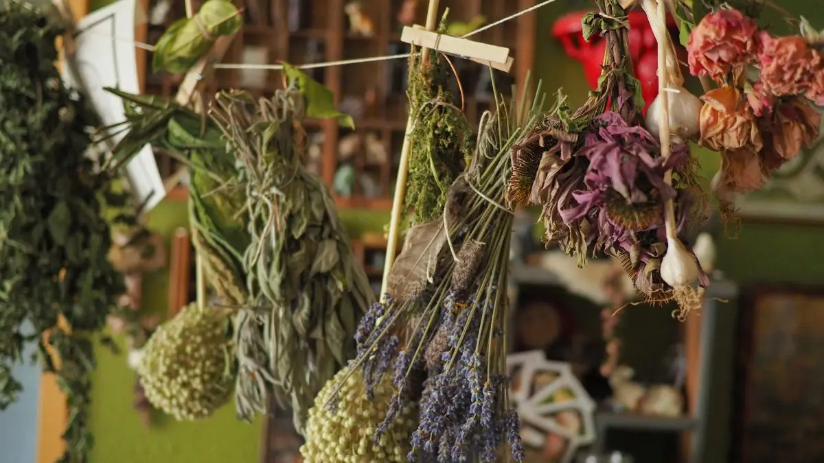 How to Dry Herbs at Home: 5 Easy Methods + Drying Times for Basil, Rosemary, Mint & More